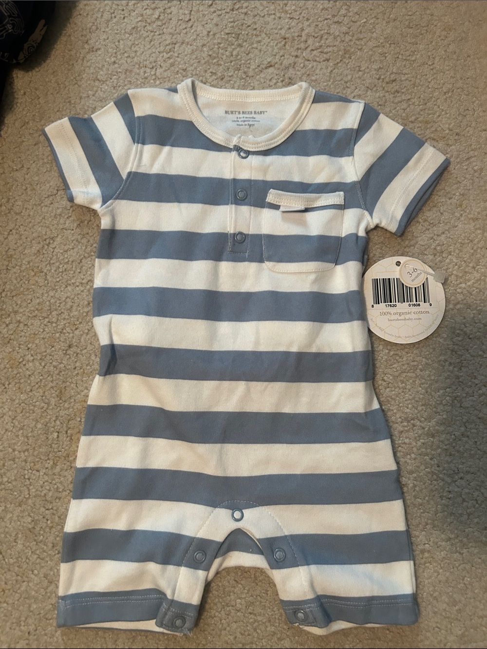 Burt's Bees Baby Blue and White Striped Short-Sleeve One-Piece